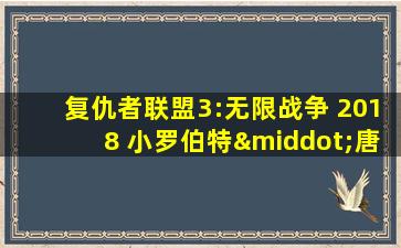 复仇者联盟3:无限战争 2018 小罗伯特·唐尼